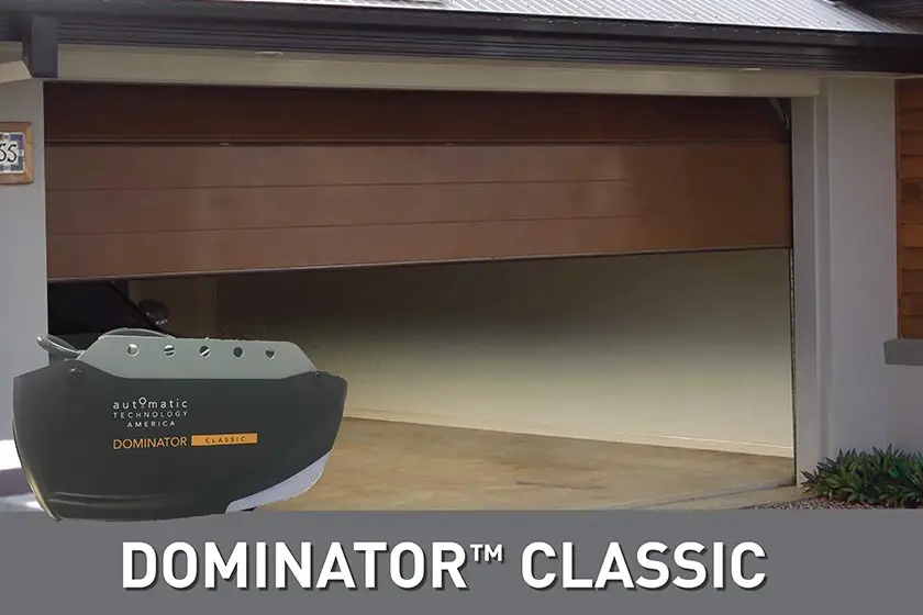 Dominator Classic